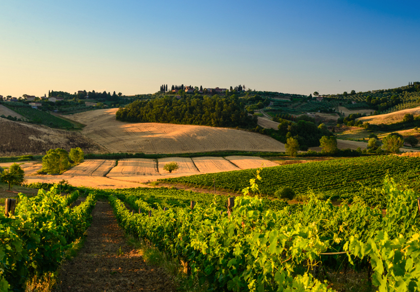 Toskania, blog o Włoszech, blog o Toskanii, winnice w Toskanii, gdzie jechać do Toskanii, winnice we Włoszech